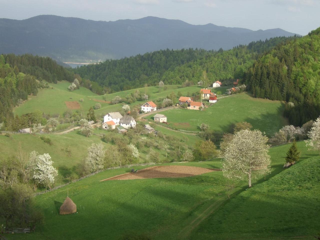 Planinski Mir Zaovine Exterior foto